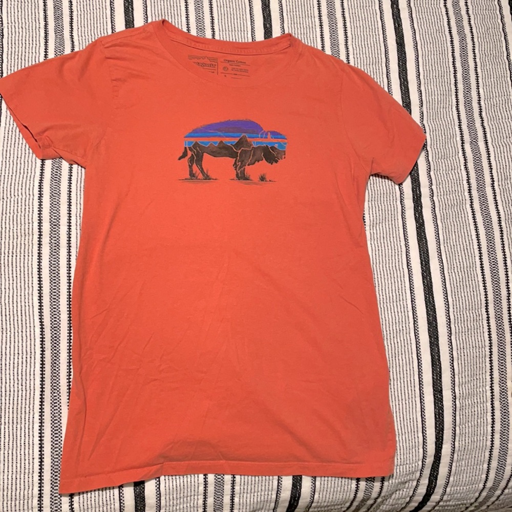 Patagonia Buffalo T-shirt 🦬